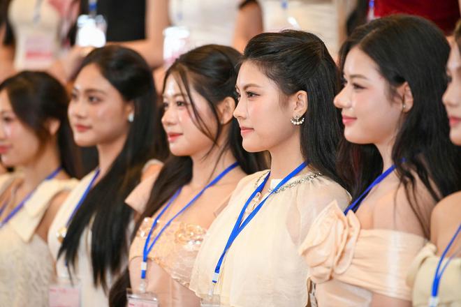 35 thí sinh phía Bắc vào Chung khảo toàn quốc Hoa hậu Việt Nam 2026 - Ảnh 3.