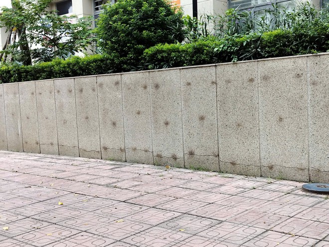 Thành ủy Hà Nội yêu cầu làm rõ vụ gần 200 căn hộ Hanoi Homeland phản ánh bị nứt- Ảnh 2.