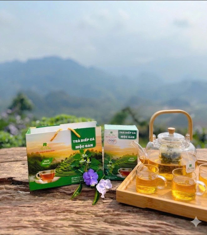 Nâng tầm giá trị nông sản vùng cao- Ảnh 3.