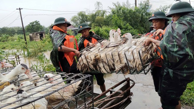 Quân khu 1: Gõ cửa từng nhà kiểm tra, hỗ trợ người dân vùng lũ - Ảnh 5.