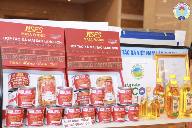 Phiên trù bị Đại hội đại biểu toàn quốc Liên minh Hợp tác xã Việt Nam lần thứ VII- Ảnh 9.