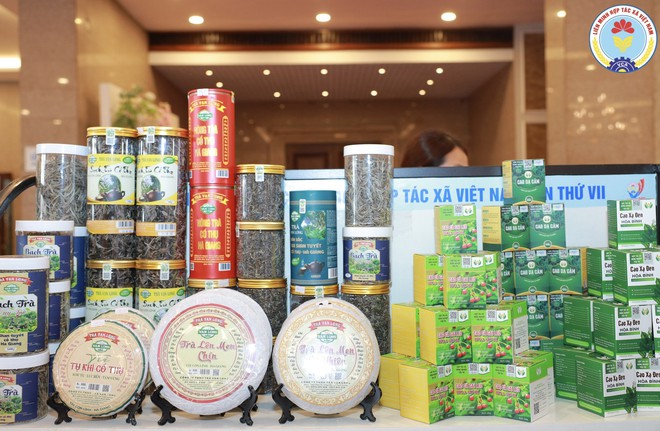 Phiên trù bị Đại hội đại biểu toàn quốc Liên minh Hợp tác xã Việt Nam lần thứ VII- Ảnh 11.