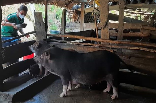 Phụ nữ Vân Kiều, Pa Kô mạnh dạn làm kinh tế, tự tin vươn lên- Ảnh 2.