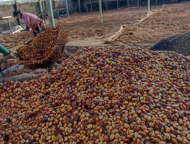 Lấy ngắn nuôi dài, gieo giấc mơ khởi nghiệp trên mảnh đất EaWy- Ảnh 3.