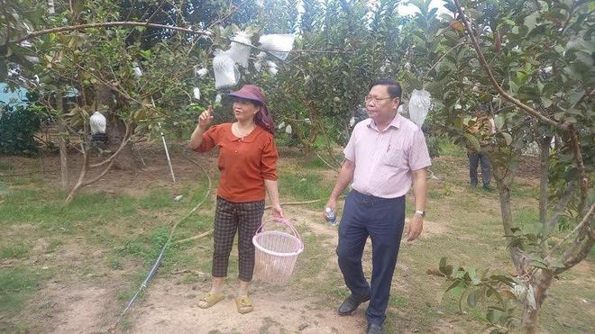 Tín dụng chính sách "gieo" sinh kế nơi ven biển - Ảnh 1.