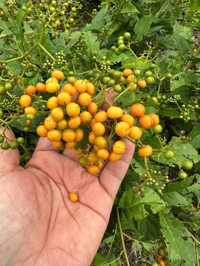 Để phụ nữ khởi nghiệp có thể đi đường dài - Ảnh 5.