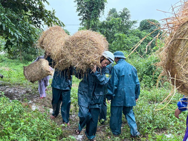 Bộ chỉ huy quân sự tỉnh Quảng Trị chủ động giúp nhân dân ứng phó mưa bão - Ảnh 3.