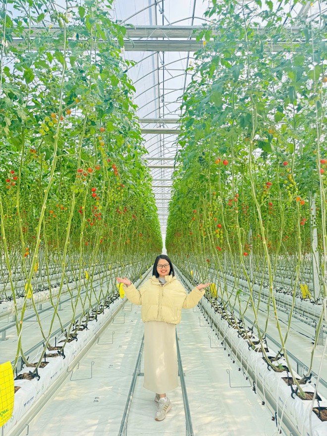 Làm nông nghiệp tuần hoàn để xây chuỗi giá trị bền vững cho nông dân- Ảnh 1.
