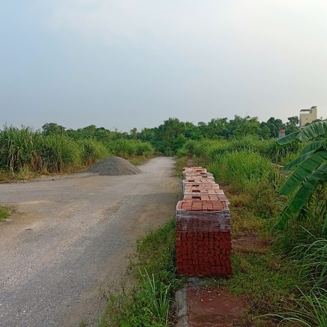 "Lỡ hẹn" 14 năm, người thụ hưởng qua đời vẫn chưa nhận được đất dịch vụ- Ảnh 2.