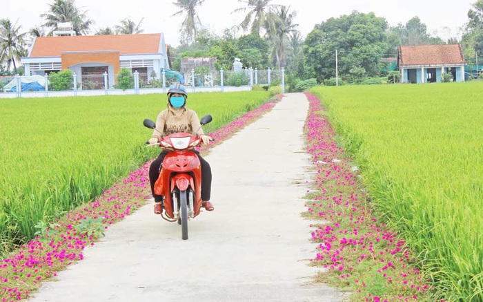 Phụ nữ Long An chung sức xây dựng nông thôn mới
