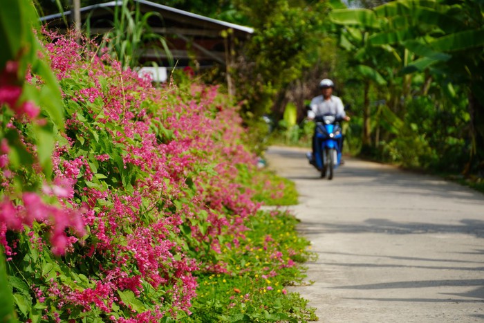 Phụ nữ Long An chung sức xây dựng nông thôn mới - Ảnh 1.