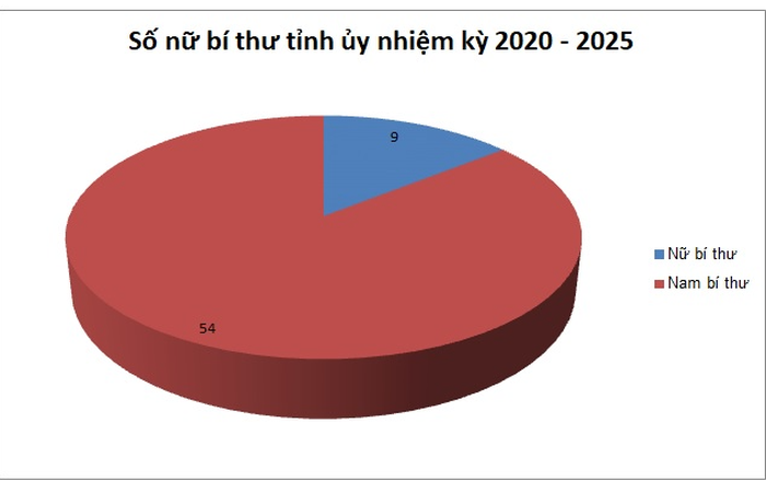 Tỷ lệ cán bộ nữ trong 3 cấp ủy Đảng nhiệm kỳ 2020 – 2025 - Ảnh 3.