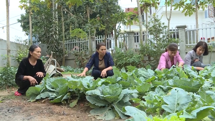 Phụ nữ bảo vệ môi trường xanh, chung sức xây dựng nông thôn mới  - Ảnh 2.