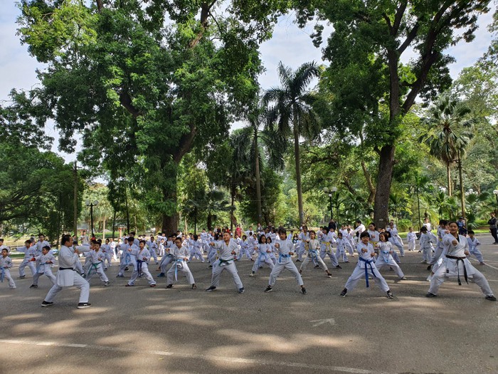 Hàng trăm em nhỏ biểu diễn võ thuật, gửi yêu thương đến Mottainai 2020 - Ảnh 1.