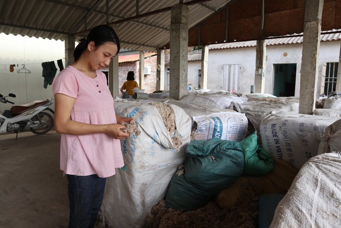 Làm giàu từ trồng nấm rơm bằng công nghệ sinh học - Ảnh 3.