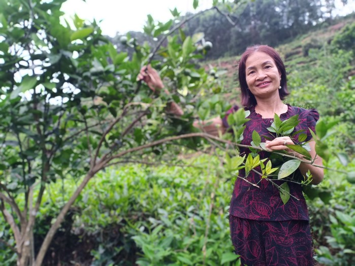 Dù mang trọng bệnh vẫn trở thành tấm gương điển hình trong học tập và làm theo Bác - Ảnh 1.