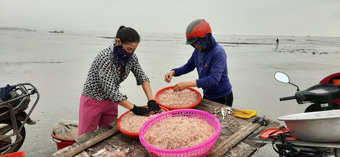 Ngư dân xứ Nghệ bội thu “lộc biển” - Ảnh 3.