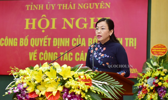 Bà Nguyễn Thanh Hải được bổ nhiệm giữ chức Bí thư Tỉnh ủy Thái Nguyên  - Ảnh 2.