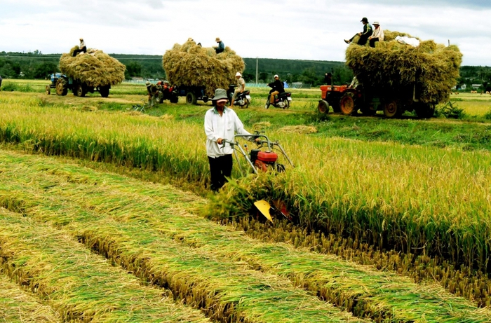 ĐBQH lo ngại tình trạng thu mua đất nông nghiệp chờ nhận giá đền bù, bỏ hoang đất - Ảnh 2.