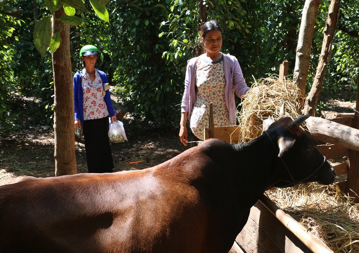 Mô hình “3 biết, 2 hỗ trợ”  của phụ nữ Gia Lai - Ảnh 2.