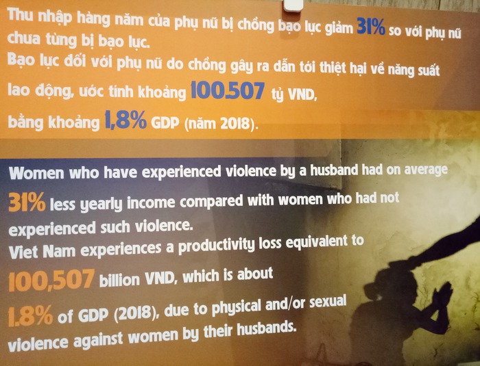 Thiệt hại kinh tế do bạo lực đối với phụ nữ ở Việt Nam tương đương 1,8% GDP - Ảnh 1.