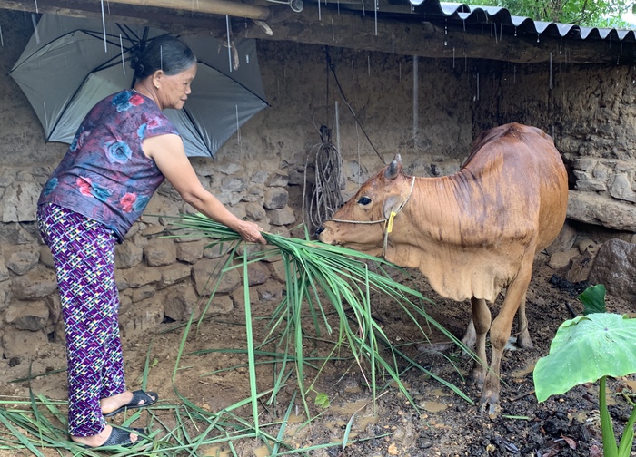 3 năm Đồng hành cùng phụ nữ biên cương ở Bắc Xa: Những con số nói lên sự đổi thay - Ảnh 3.