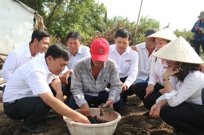  Agribank Kiên Giang tiếp sức cho mô hình nuôi tôm quảng canh - Ảnh 1.