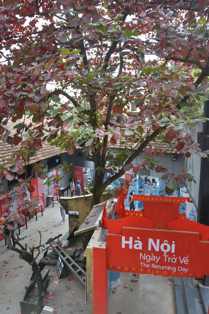 Phối cảnh con phố Hà Nội trong trưng bày chuyên đề  “Hà Nội - Ngày trở về” được tạo dựng dưới gốc bàng sân trại nữ Nhà tù Hỏa Lò
