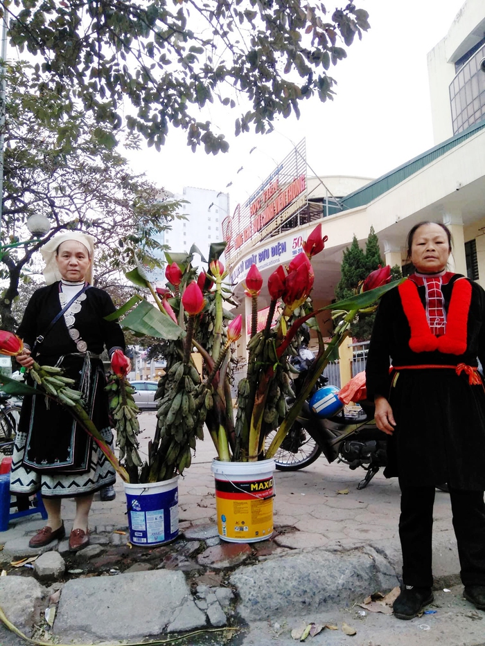 Hoa chuối rừng xuống phố, giúp các sinh viên Dao mang Tết ấm về bản - Ảnh 2.