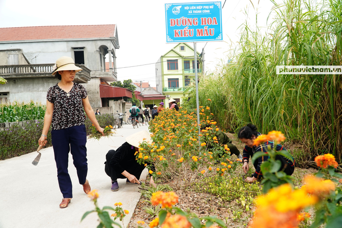 Con đường hoa dài cả cây số đẹp như trong “truyện cổ tích”  - Ảnh 2.