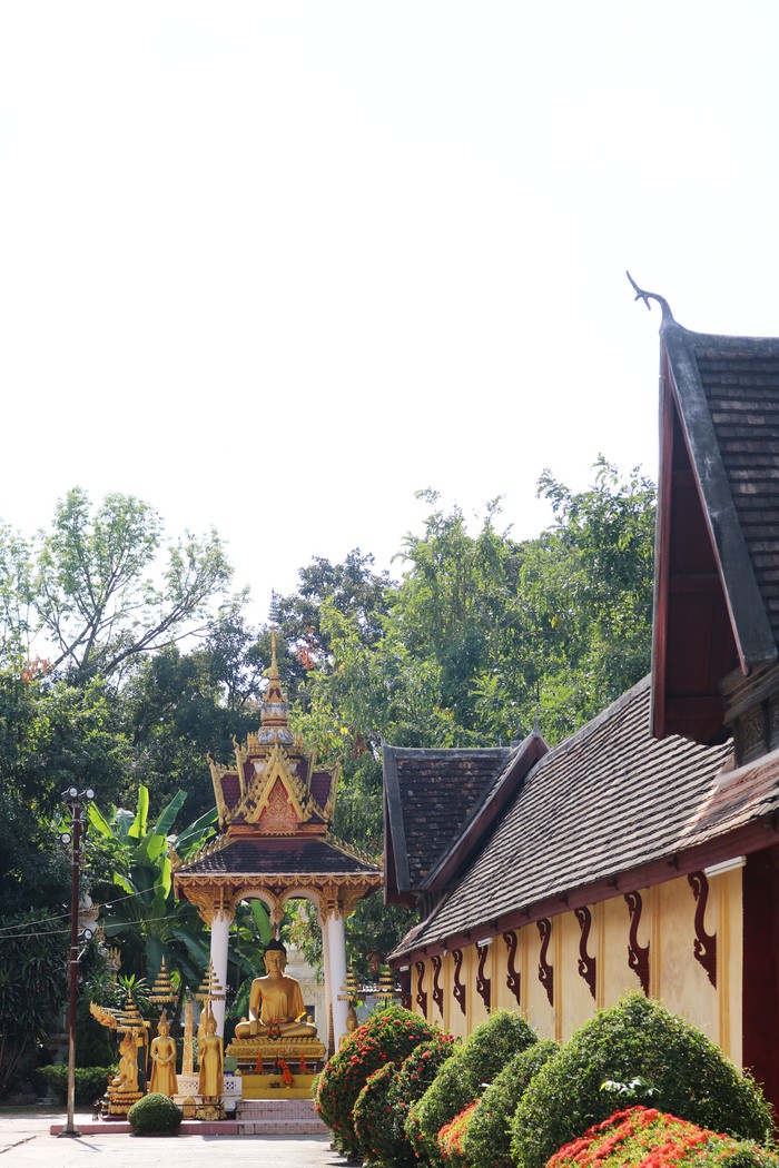 Ghé thăm ngôi chùa sở hữu gần 7.000 tượng Phật của Lào - Ảnh 18.