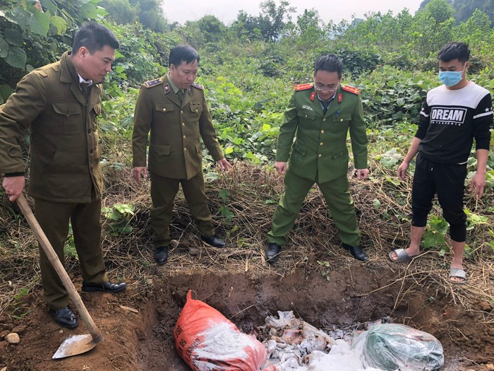 200 kg nội tạng động vật đang phân hủy bị mang đi tiêu thụ - Ảnh 1.