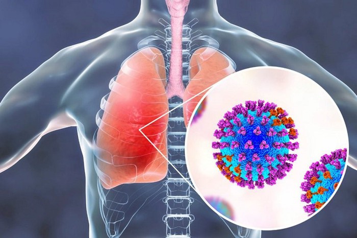 Cùng gây tổn thương phổi, SARS-CoV-2 còn tấn công nội mạc mạch máu - Ảnh 1.