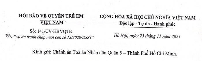 Hội Bảo vệ Quyền trẻ em Việt Nam cho rằng TAND Q.5, TPHCM không tôn trọng, lắng nghe trẻ - Ảnh 1.