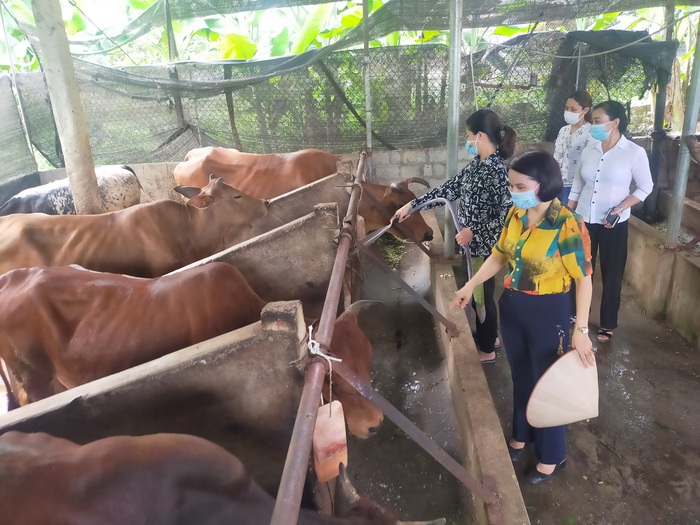 Hội LHPN Việt Nam chú trọng tập huấn, kiểm tra, giám sát nhằm nâng cao chất lượng tín dụng - Ảnh 2.