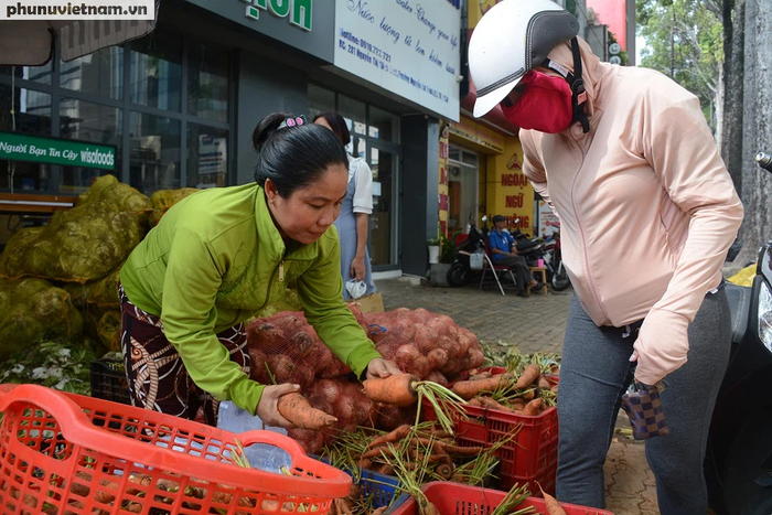 Bắp cải, cà rốt Đà Lạt chờ người Sài Gòn “ủng hộ dùm” - Ảnh 4.