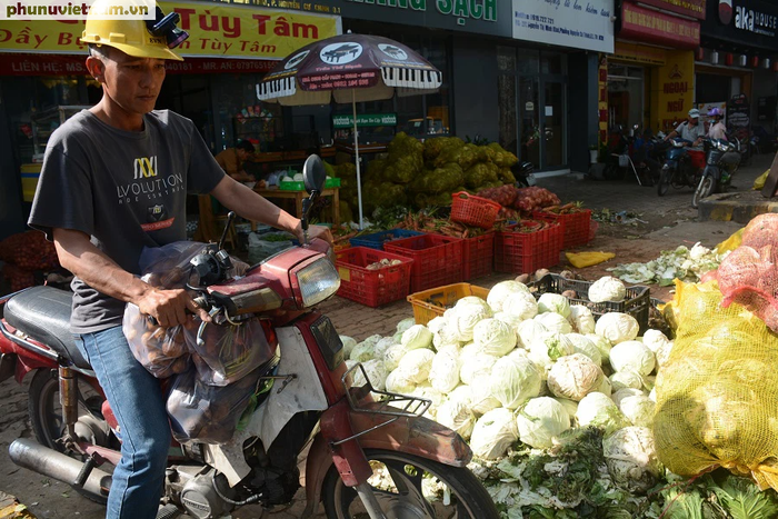 Bắp cải, cà rốt Đà Lạt chờ người Sài Gòn “ủng hộ dùm” - Ảnh 9.