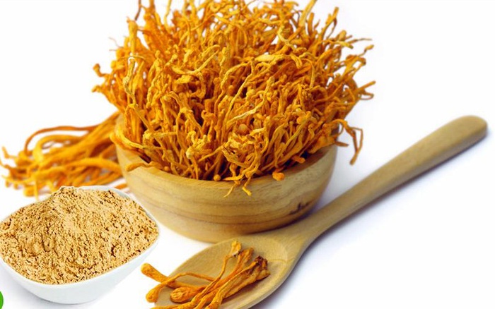 Có nên uống đông trùng hạ thảo thường xuyên không? Đông trùng hạ thảo có nên uống thường xuyên không