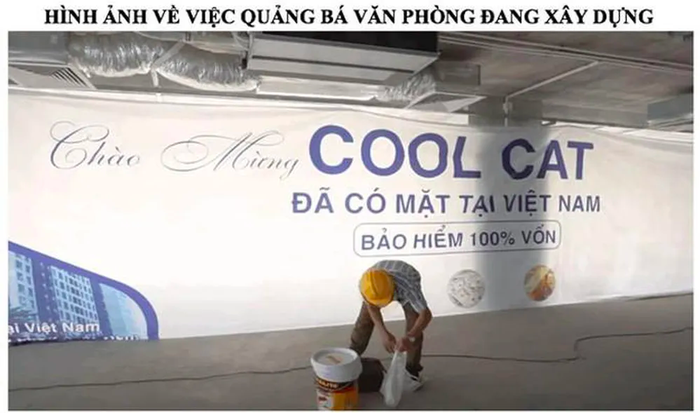 Sập sàn Coolcat: Phụ nữ cần làm gì để tránh “bẫy” đầu tư tài chính qua app? - Ảnh 2.