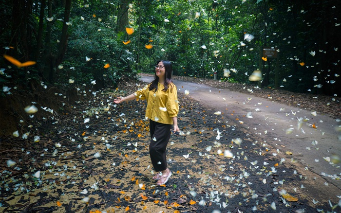 Giới thiệu về rừng quốc gia Cúc Phương