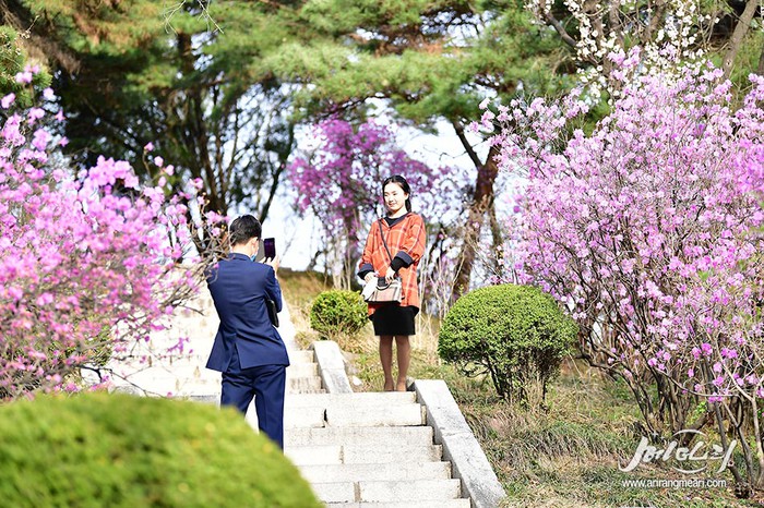 Phụ nữ Triều Tiên được hưởng nhiều chính sách ưu tiên từ nhà nước  - Ảnh 10.