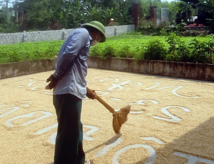 Độc đáo khẩu hiệu cổ động bầu cử trên sân phơi lúa của người dân - Ảnh 2.