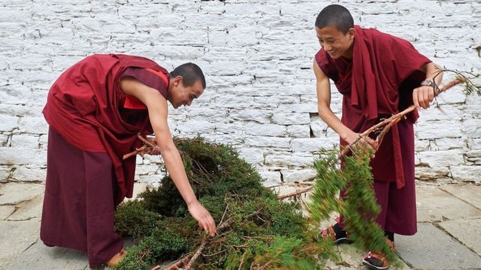 Hương Himalaya, chiếc chìa khóa có thể mở ra cánh cửa hạnh phúc ở Bhutan - Ảnh 4.