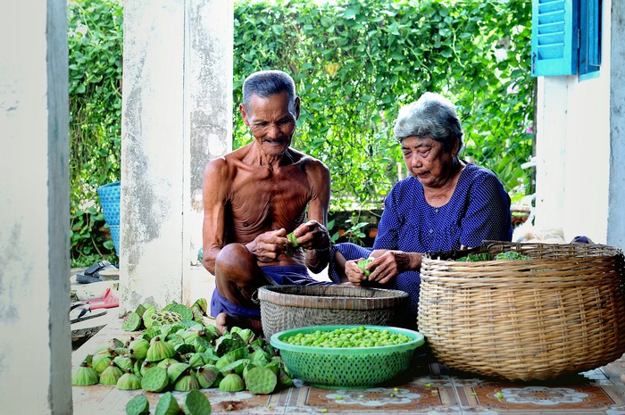 Một đôi vợ chồng già người Khơ-me ở Hòn Đất – Kiên Giang cùng ngồi lấy hạt sen từ những đài sen vừa thu hoạch - Ảnh: Huỳnh Mỹ Thuận