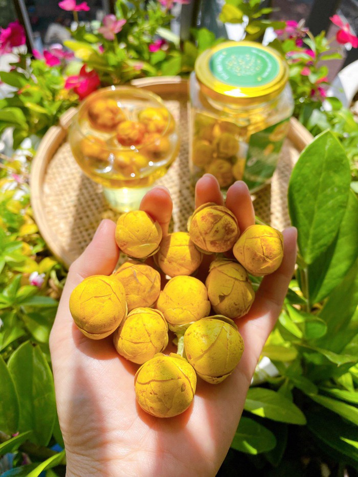 Cô chủ G-Camellia đưa trà hoa vàng “chạm vào nguyên thủy” - Ảnh 3.