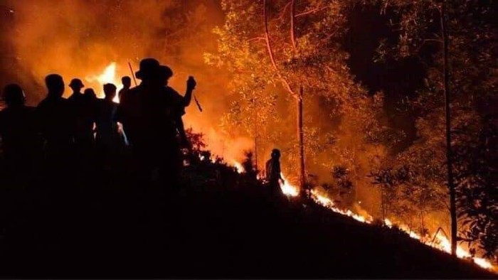 Theo Luật Phòng, chống thiên tai và Luật Đê điều sửa đổi 2020, cháy rừng do tự nhiên cũng là một loại hình thiên tai (Ảnh TTX)