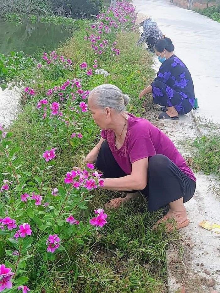 Hỗ trợ phụ nữ phát triển kinh tế, làm giàu trên chính quê hương mình - Ảnh 2.