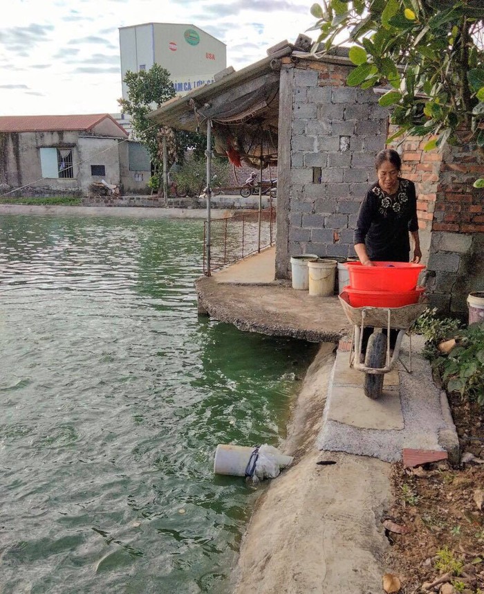 Hỗ trợ phụ nữ phát triển kinh tế, làm giàu trên chính quê hương mình - Ảnh 1.