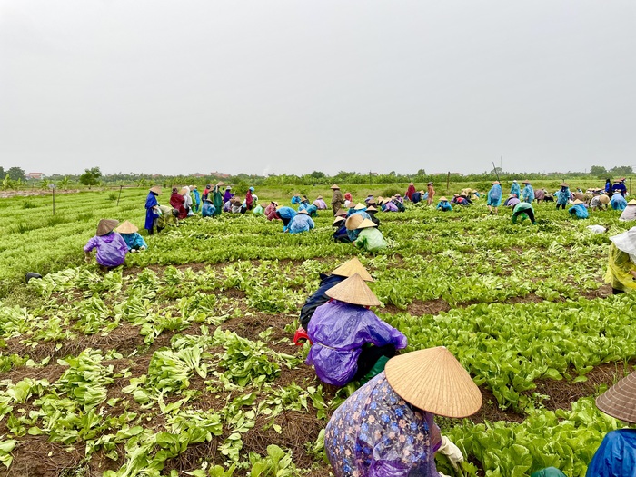 Các cấp Hội Bắc Ninh ủng hộ nhu yếu phẩm cho người dân Hà Nội đang thực hiện giãn cách - Ảnh 1.