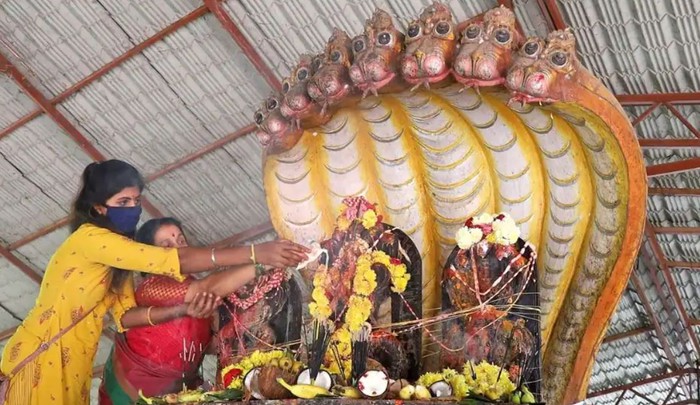 Naga Panchami, lễ hội tôn thờ rắn linh thiêng của tín đồ đạo Hindu - Ảnh 2.